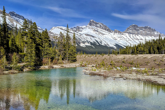 Canadian Rockies Public Schools
加拿大洛杉磯山脈學區